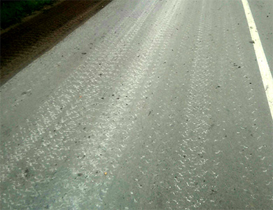Активисты «Убитых дорог» сняли проезд военной техники без защиты на гусеницах по новой дороге в Псковском районе (ВИДЕО)