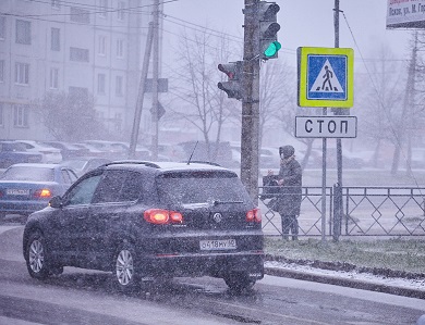 Ледяной дождь ожидается в некоторых районах Псковской области 29 декабря 